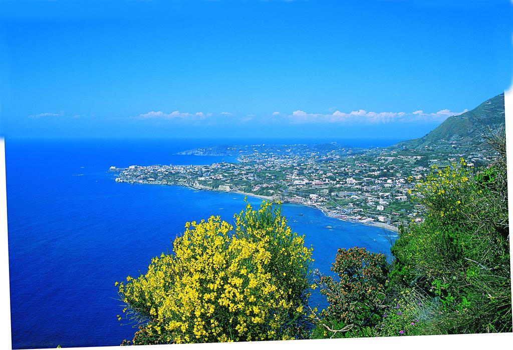 Villa Angela Hotel & Spa Forio di Ischia Exteriér fotografie